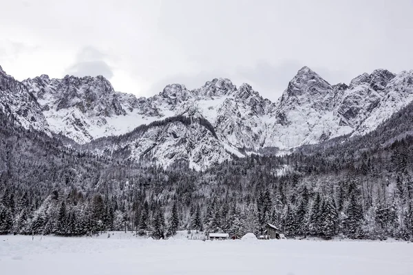 karlı dağ tepe kış günlerinde görünümünü