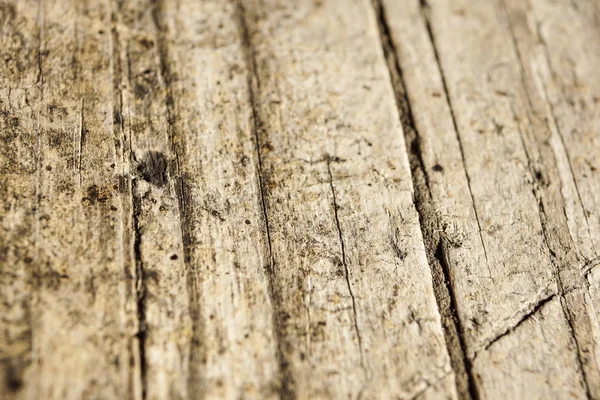 Doğal desenli eski ahşap doku.