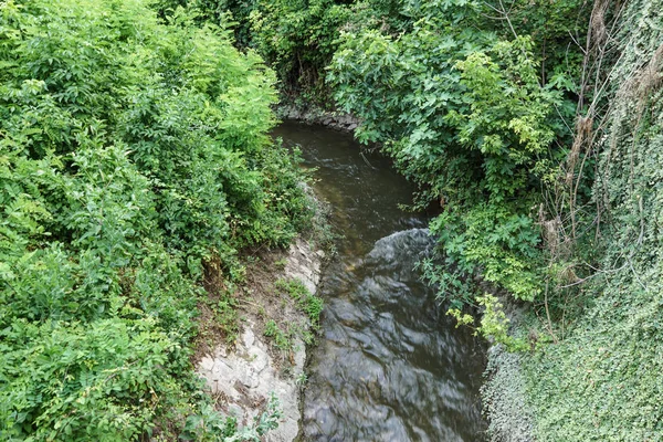 Canales sinuosos y vías fluviales Pequeño río en el bosque — Foto de Stock
