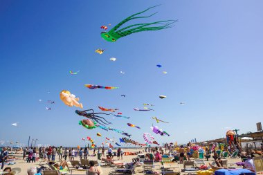 Cervia, İtalya - 1 Mayıs: Gökyüzü ucurtmalar Uluslararası Uçurtma Şenliği on Mayıs 1, 2010 Cervia, İtalya için dolu. Bu Festival birlikte uçurtma el ilanları üzerinden tüm dünyada her yıl 1981 yılından beri getiriyor.