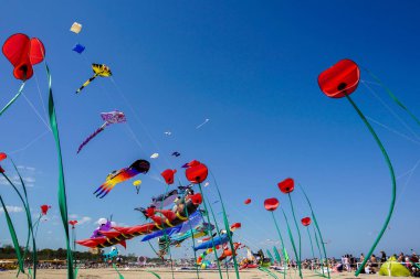 Cervia, İtalya - 1 Mayıs: Gökyüzü ucurtmalar Uluslararası Uçurtma Şenliği on Mayıs 1, 2010 Cervia, İtalya için dolu. Bu Festival birlikte uçurtma el ilanları üzerinden tüm dünyada her yıl 1981 yılından beri getiriyor.
