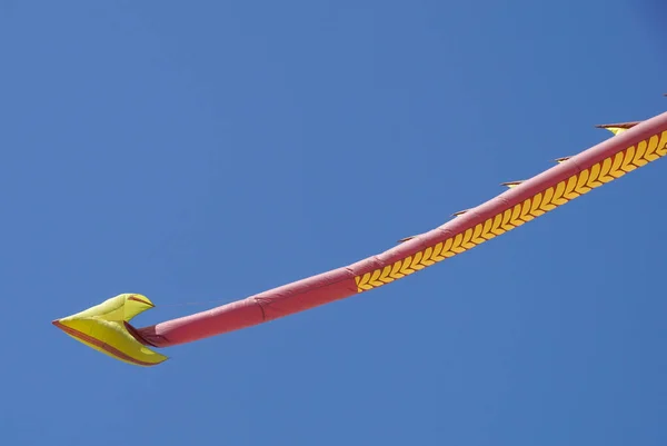 Různé barevné draci létání v jasně modré obloze — Stock fotografie