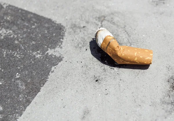 Vue des cigarettes et du tabac. Le tabac contient de la nicotine alcaloïde, un stimulant, et des alcaloïdes de harmala. Les feuilles de tabac séchées sont principalement utilisées pour fumer dans les cigarettes , — Photo