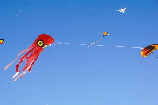 在蓝天的风筝节美丽的风筝 — 图库照片
