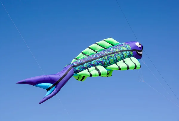 在蓝天的风筝节美丽的风筝 — 图库照片