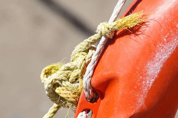 Liv ring på stranden och havs knutar. Närbild. — Stockfoto