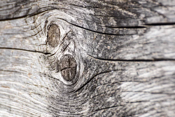 Régi dió fa törzsrészlet textúra, mint a természetes háttér. — Stock Fotó