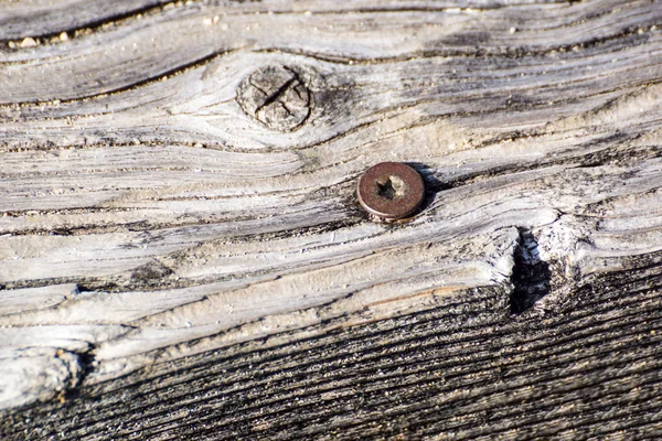 Régi dió fa törzsrészlet textúra, mint a természetes háttér. — Stock Fotó