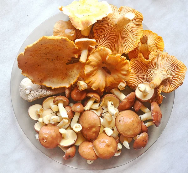 Färska svampar på en tallrik på bordet. Kantareller — Stockfoto