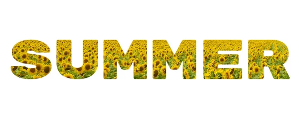 Das Wort Sommer Gelbe Inschrift Auf Weißem Hintergrund Helles Sonnenblumenthema — Stockfoto