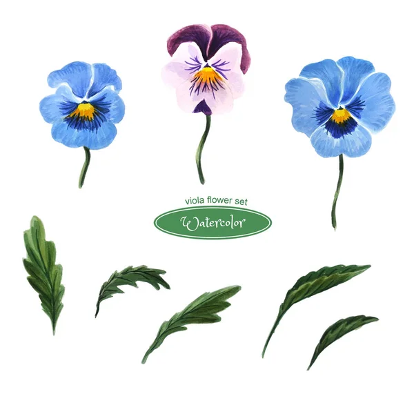 Jogo Flores Aquarela Azul Desenho Composição Cumprimentos Pansies Cabeças Flores — Fotografia de Stock