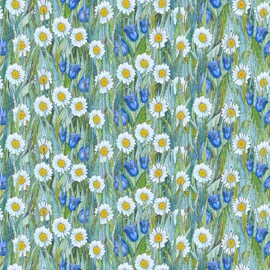 Chamomiles dikişsiz yaz deseni, çim üzerinde bluebells. 