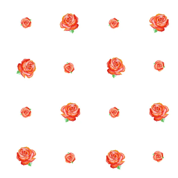Ομαλή μοτίβο των μικρών κόκκινα τριαντάφυλλα διαφορετικών μεγεθών σε λευκό φόντο. — Φωτογραφία Αρχείου