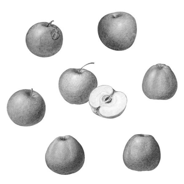 Conjunto de manzanas en diferentes posiciones, aisladas sobre blanco . — Foto de Stock