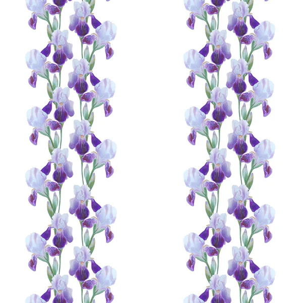 Ornamento di fiori di iris isolato su bianco. Bella modello moderno senza soluzione di continuità — Foto Stock