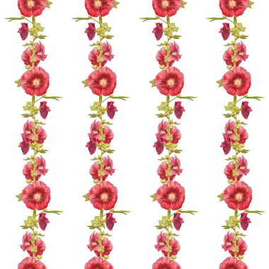 Ebegümeci çiçek süsbeyaz izole. Güzel modern dikişsiz desen.