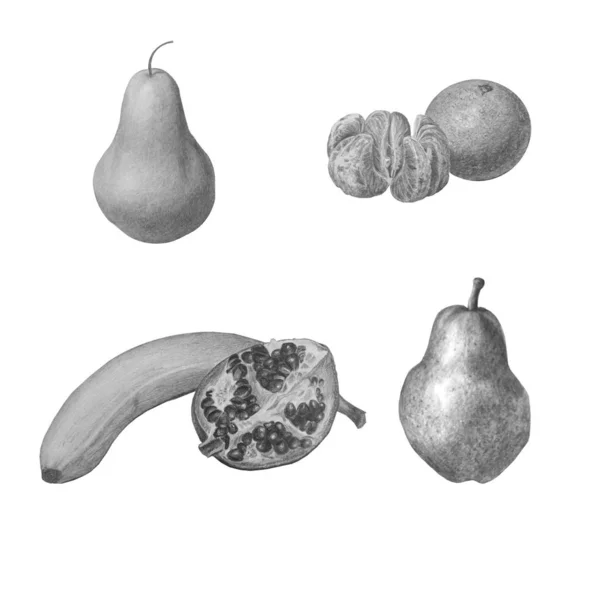 Conjunto de frutos en diferentes posiciones, aislados sobre blanco. Ilustración de lápiz hermoso blanco y negro . — Foto de Stock