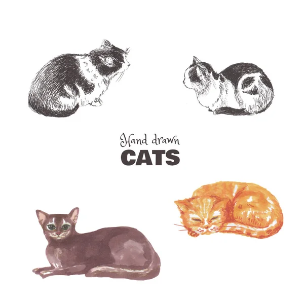 Set of hand-drawn cats. Sketches of lying multicolored cats.