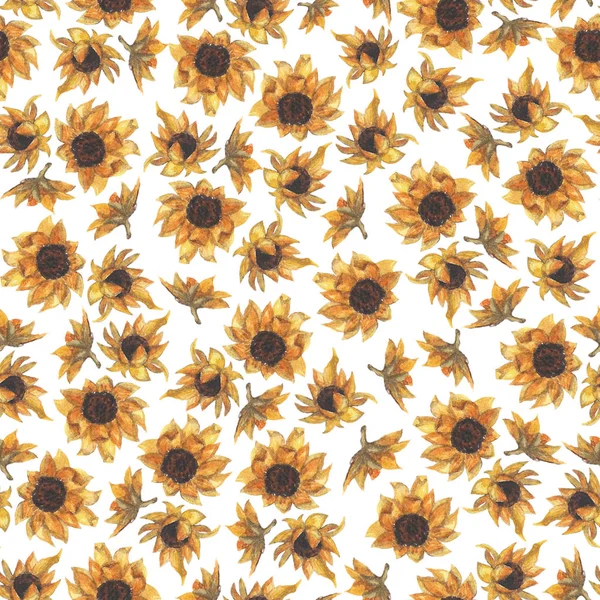 Bright seamless pattern with sunflowers. Hand drawn watercolor flowers. — Stock Photo, Image