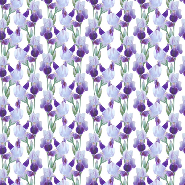 Ornamento di iris e malva. Bella modello moderno senza soluzione di continuità con ornamenti floreali . — Foto Stock