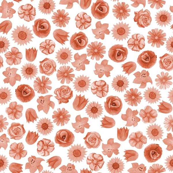 Seamless floral pattern on white background. Different bright flowers. — Stock Photo, Image