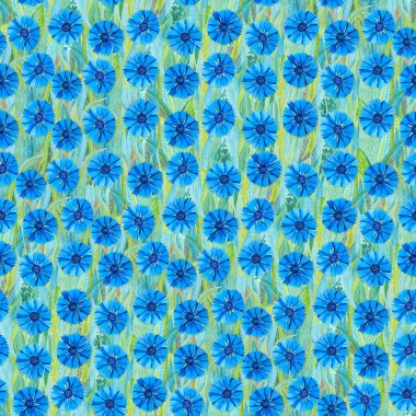 Çimenler üzerinde beyaz cornflowers Dikişsiz yaz deseni. Bir çiçek glade şeklinde Mavi arka plan. 