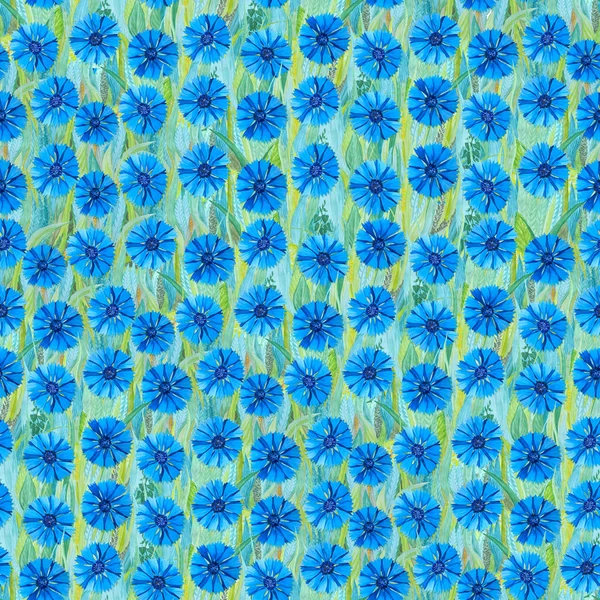 Modello estivo senza soluzione di continuità di fiordaliso bianco sull'erba. Sfondo blu sotto forma di una radura di fiori . — Foto Stock