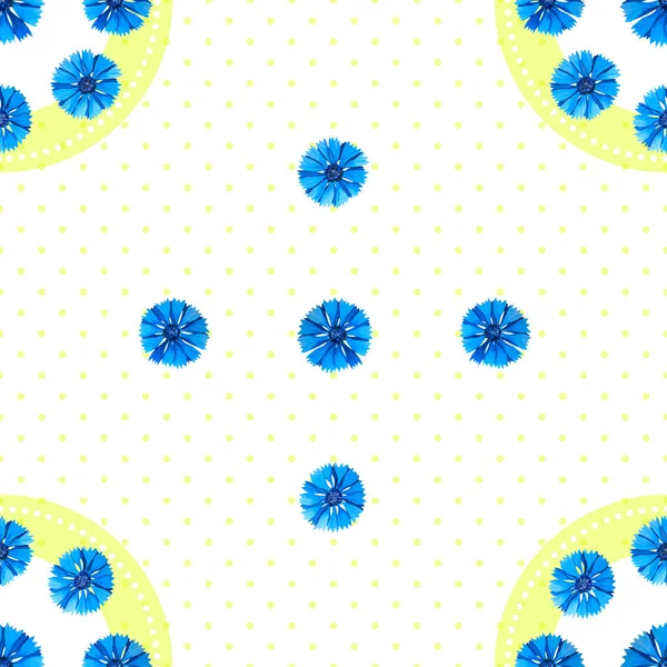 Wit naadloos patroon met blauwe bloemen. Aquarel korenbloemen, polka dot achtergrond. — Stockfoto