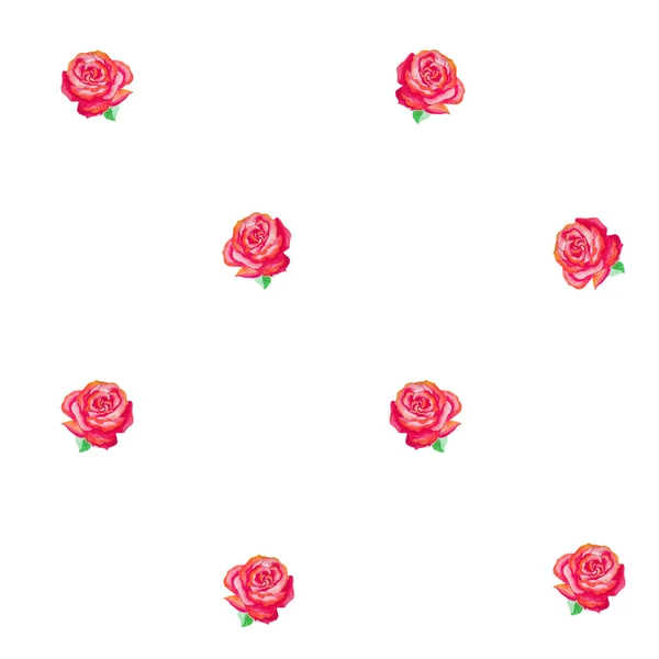 Απρόσκοπτη μοτίβο ροζ τριαντάφυλλα με πράσινα φύλλα σε λευκό φόντο. — Φωτογραφία Αρχείου