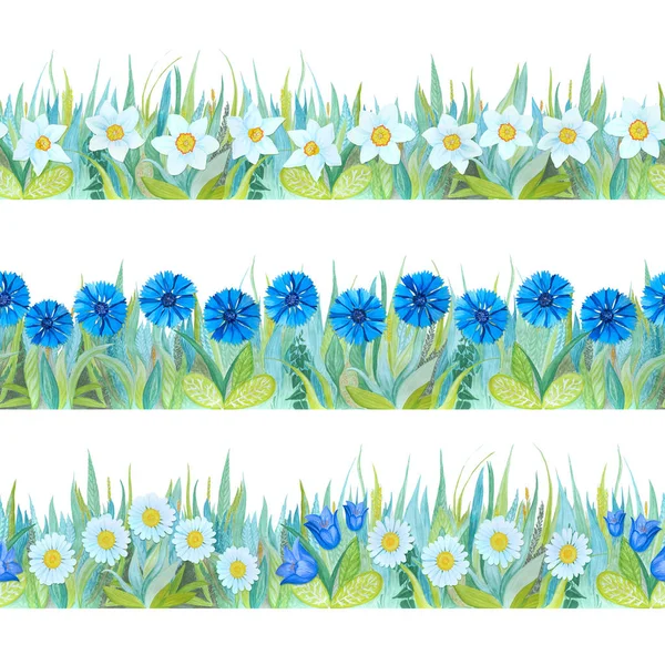 Colorati bordi floreali senza cuciture. Luminoso sfondo - erba e fiori . — Foto Stock