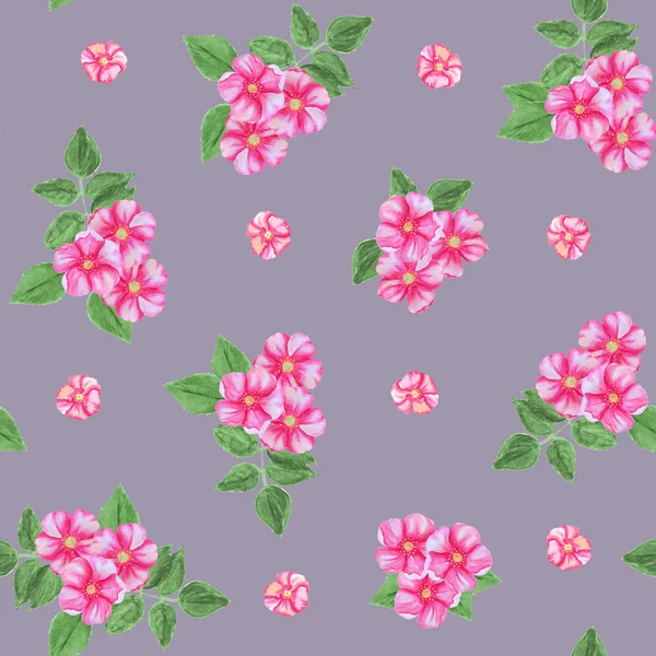 Seamless pattern of pink rosehip flowers isolated on a grey background. — Stock Photo, Image