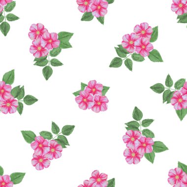 Beyaz bir arka plan üzerinde izole köpek gül çiçekleri Dikişsiz desen.  