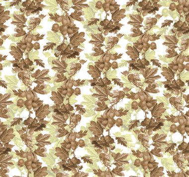 Güzel çiçek dikişsiz desen - beyaz bir arka plan üzerinde bektaşi üzümü dalları.