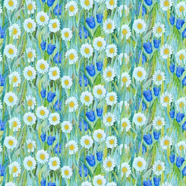 Chamomiles dikişsiz yaz deseni, çim üzerinde bluebells. 