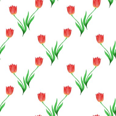 Beyaz bir arka plan üzerinde izole kırmızı lale basit sorunsuz desen.  