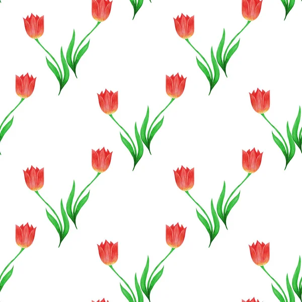 Einfaches nahtloses Muster roter Tulpen auf weißem Hintergrund. — Stockfoto