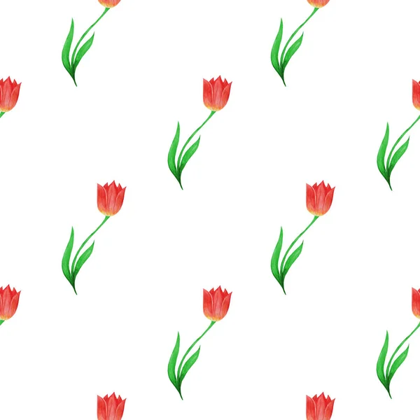 Simple seamless pattern of tulips isolated on a white background.