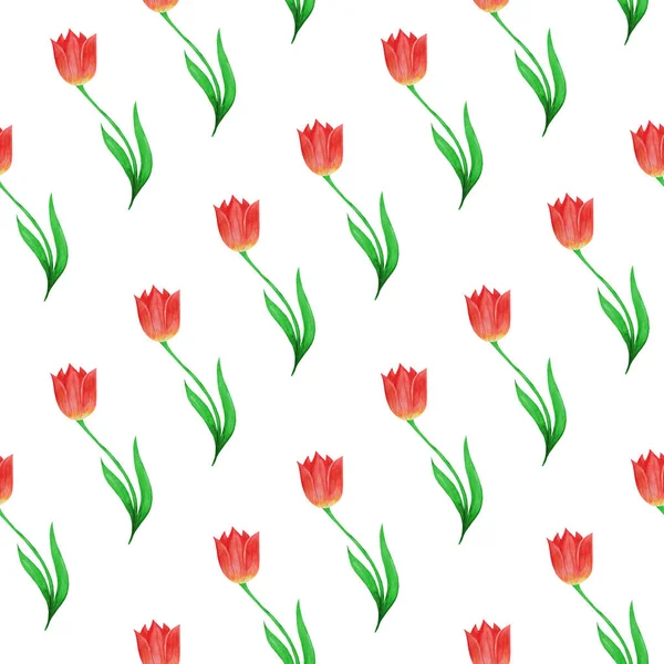 Simple seamless pattern of tulips isolated on a white background. — Stock Photo, Image