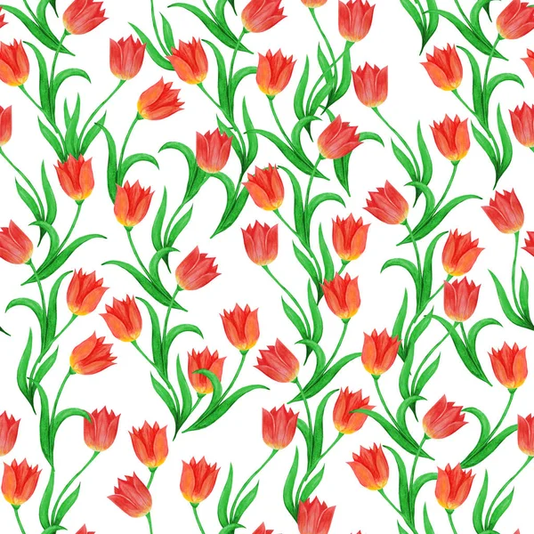 Seamless pattern of tulip flowers isolated on a white background.
