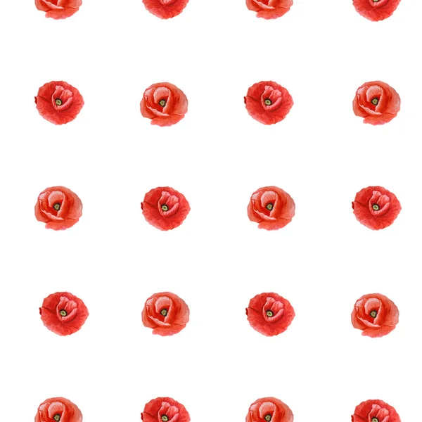 Simple seamless pattern of red poppy flower isolated on a white background. — Stock Photo, Image