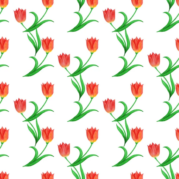 Simple seamless pattern of tulips isolated on a white background. Plant binding. — Stock Photo, Image