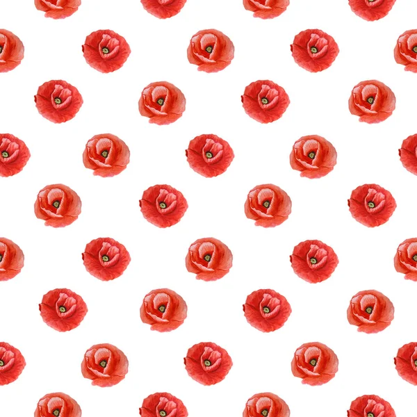 Simple seamless pattern of poppy flower isolated on a white background. — Stock Photo, Image