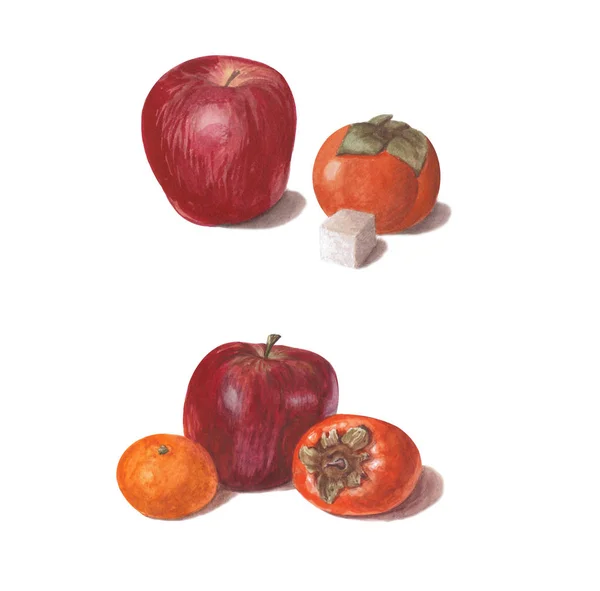 Conjunto de brillantes frutas acuarela. Manzanas rojas con caqui, azúcar y mandarina aisladas sobre fondo blanco . — Foto de Stock