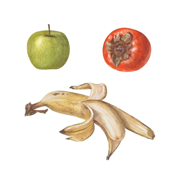 밝은 수채화 과일 세트입니다. 바나나, 녹색 사과와 감 흰색 배경에 고립. — 스톡 사진