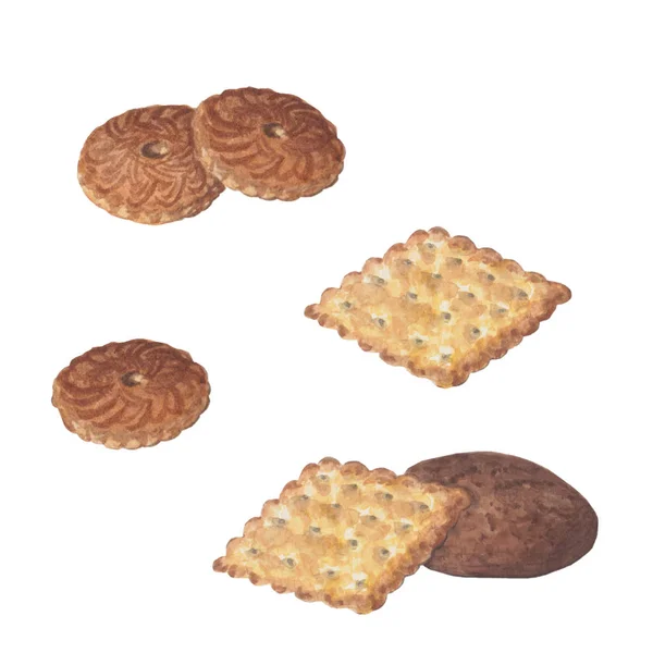 Tatlı ekmek kurabiyeleri. Güzel suluboya seti.