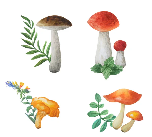 Hand getekende paddestoelen en verschillende bladeren geïsoleerd op wit. — Stockfoto