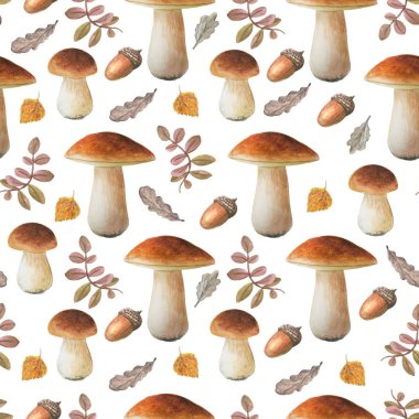 Beyaz arka planda Dikişsiz çiçek deseni. Sonbahar koleksiyonu. Suluboya el çizilmiş boletus ve farklı yaprakları. 