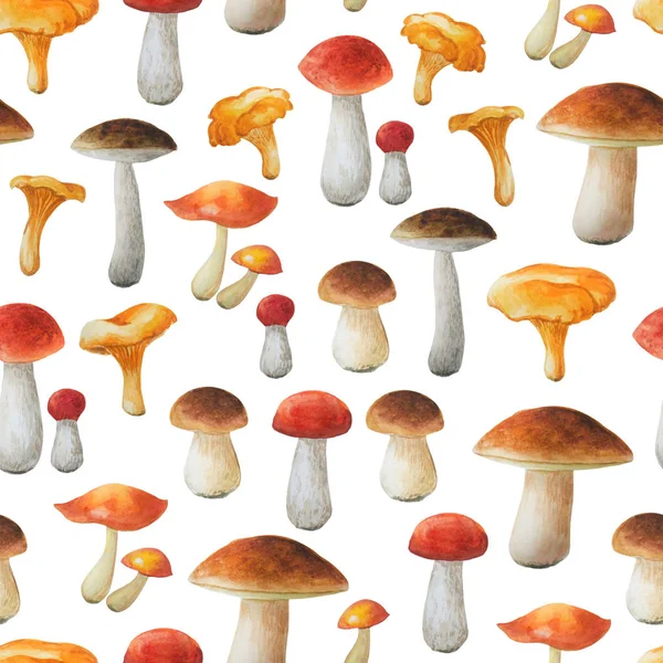 Seamless floral pattern on white background. Autumn collection. Watercolor hand drawn mushrooms. — Stock Photo, Image