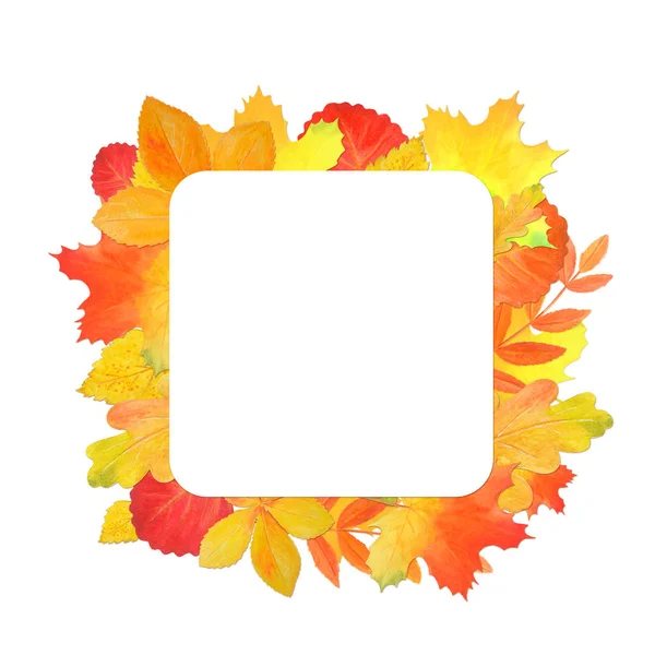 Marco para el diseño con hojas de otoño. Plantilla para texto . —  Fotos de Stock