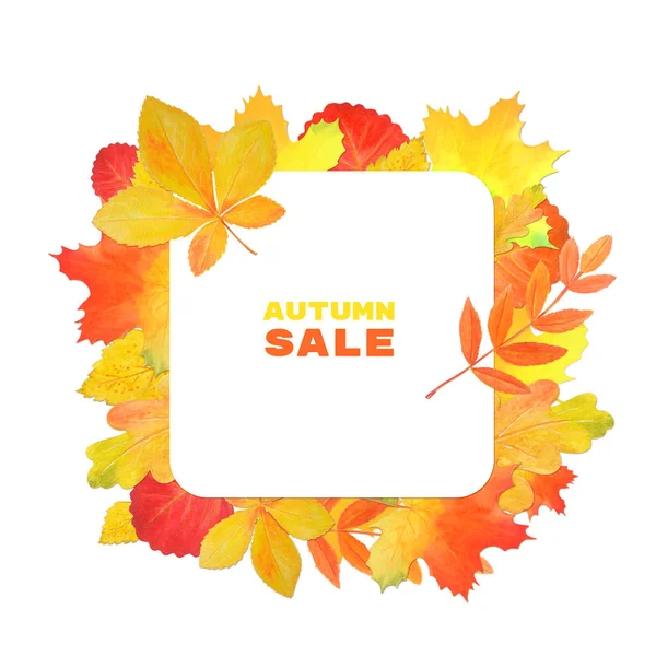 Frame for design with autumn leaves. Autumn sale. — Stock Photo, Image